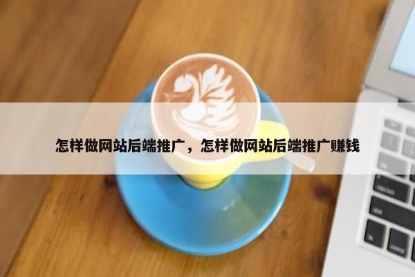 怎样做网站后端推广，怎样做网站后端推广赚钱