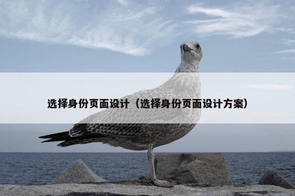 选择身份页面设计（选择身份页面设计方案）