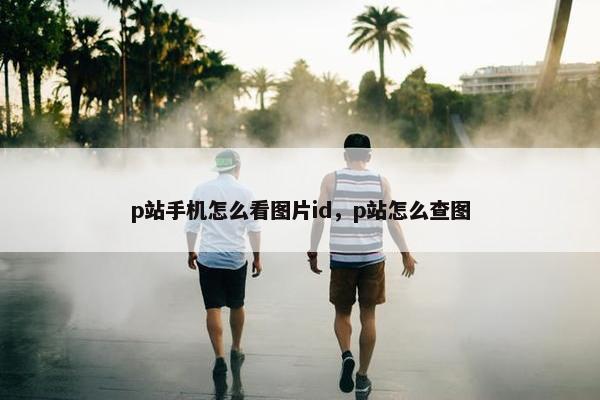 p站手机怎么看图片id，p站怎么查图