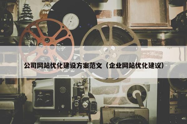 公司网站优化建设方案范文（企业网站优化建议）
