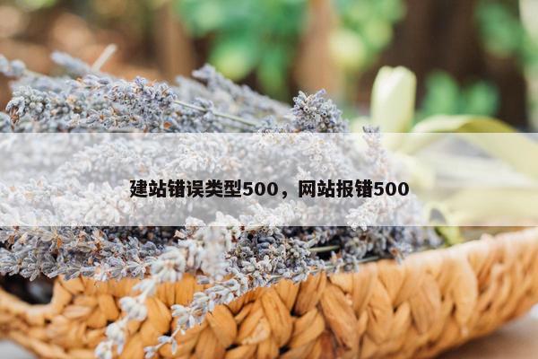 建站错误类型500，网站报错500