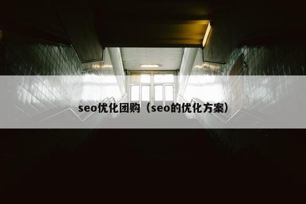 seo优化团购（seo的优化方案）