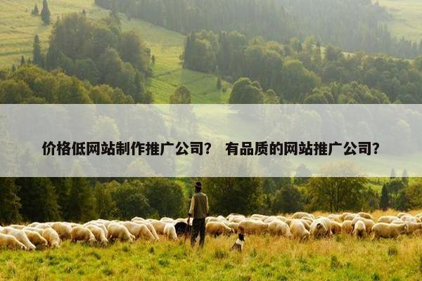 价格低网站制作推广公司？ 有品质的网站推广公司？