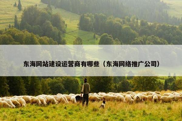 东海网站建设运营商有哪些（东海网络推广公司）