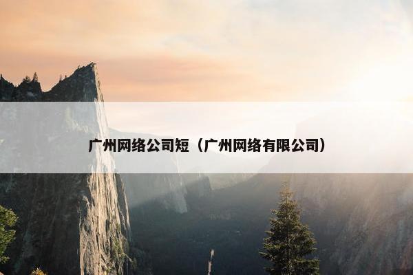 广州网络公司短（广州网络有限公司）