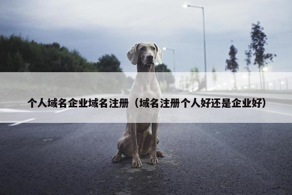 个人域名企业域名注册（域名注册个人好还是企业好）