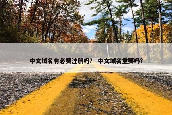 中文域名有必要注册吗？ 中文域名重要吗？