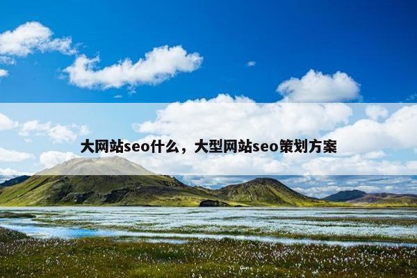 大网站seo什么，大型网站seo策划方案