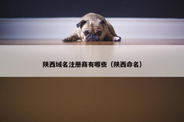 陕西域名注册商有哪些（陕西命名）