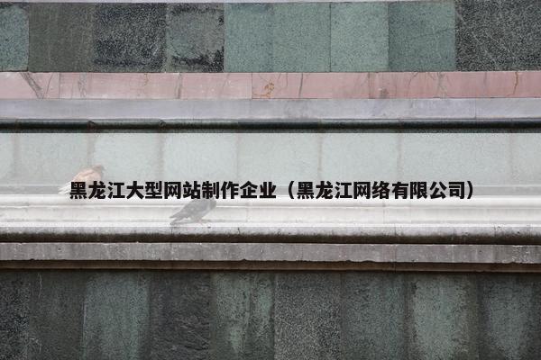 黑龙江大型网站制作企业（黑龙江网络有限公司）