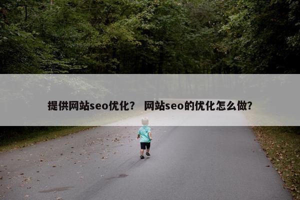 提供网站seo优化？ 网站seo的优化怎么做？