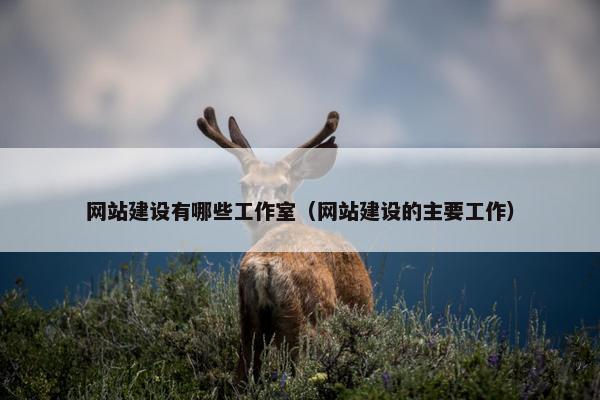网站建设有哪些工作室（网站建设的主要工作）