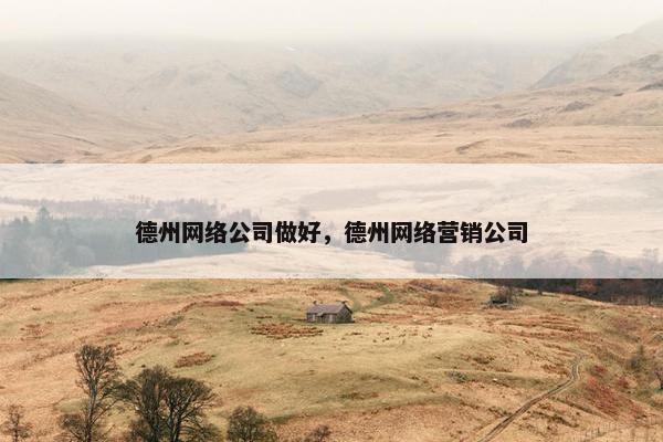 德州网络公司做好，德州网络营销公司