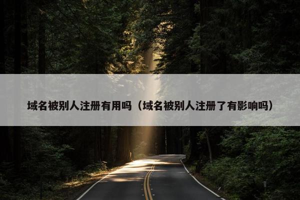 域名被别人注册有用吗（域名被别人注册了有影响吗）