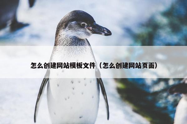 怎么创建网站模板文件（怎么创建网站页面）