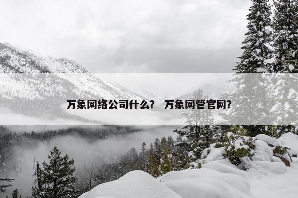 万象网络公司什么？ 万象网管官网？