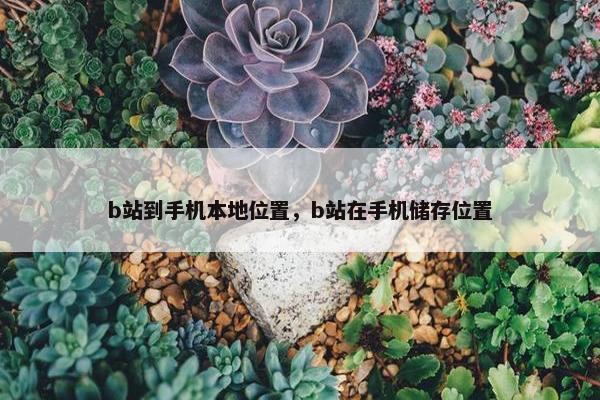b站到手机本地位置，b站在手机储存位置