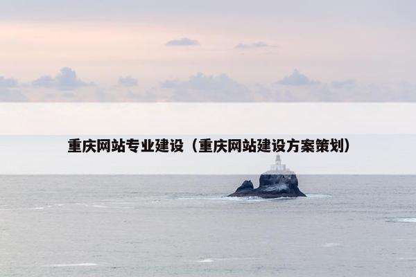 重庆网站专业建设（重庆网站建设方案策划）