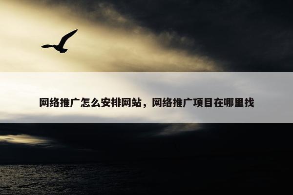 网络推广怎么安排网站，网络推广项目在哪里找