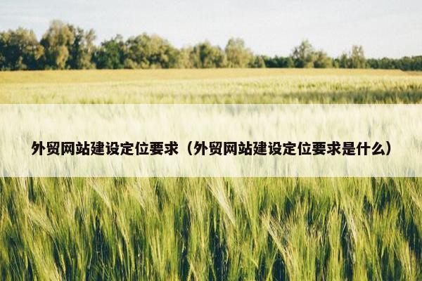 外贸网站建设定位要求（外贸网站建设定位要求是什么）