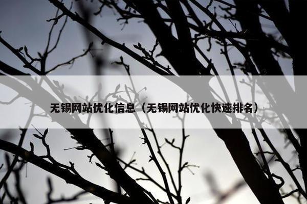 无锡网站优化信息（无锡网站优化快速排名）
