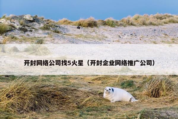 开封网络公司找5火星（开封企业网络推广公司）