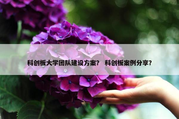 科创板大学团队建设方案？ 科创板案例分享？