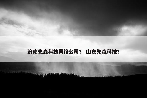 济南先森科技网络公司？ 山东先森科技？