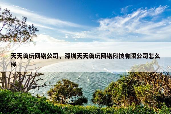 天天嗨玩网络公司，深圳天天嗨玩网络科技有限公司怎么样
