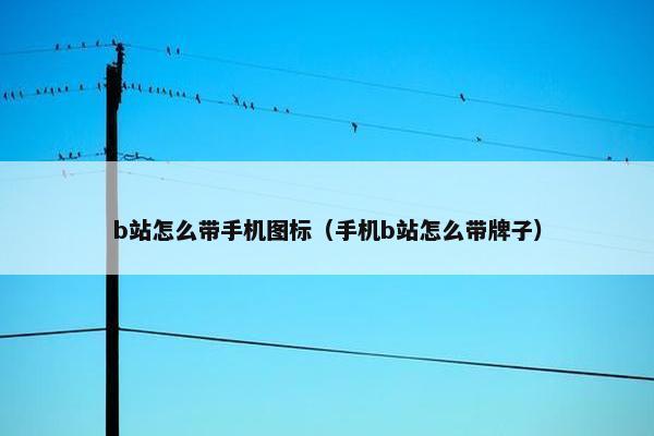 b站怎么带手机图标（手机b站怎么带牌子）