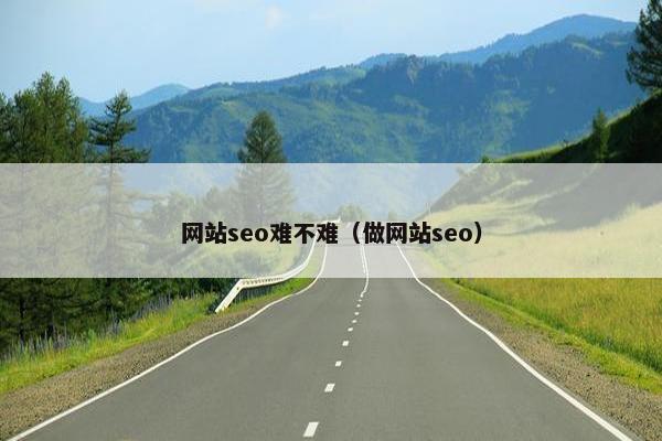 网站seo难不难（做网站seo）
