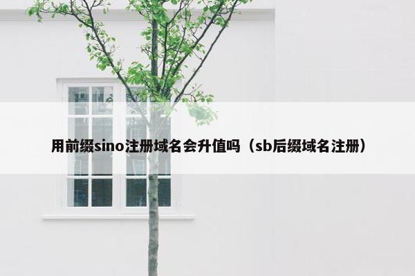 用前缀sino注册域名会升值吗（sb后缀域名注册）