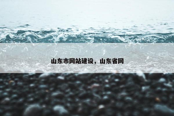 山东市网站建设，山东省网