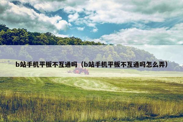 b站手机平板不互通吗（b站手机平板不互通吗怎么弄）