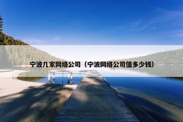 宁波几家网络公司（宁波网络公司值多少钱）