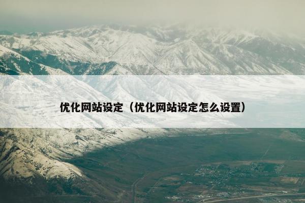 优化网站设定（优化网站设定怎么设置）