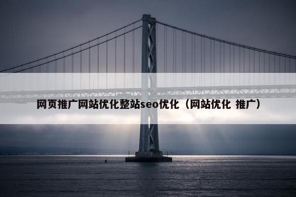 网页推广网站优化整站seo优化（网站优化 推广）