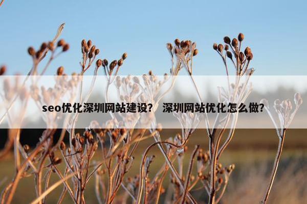seo优化深圳网站建设？ 深圳网站优化怎么做？