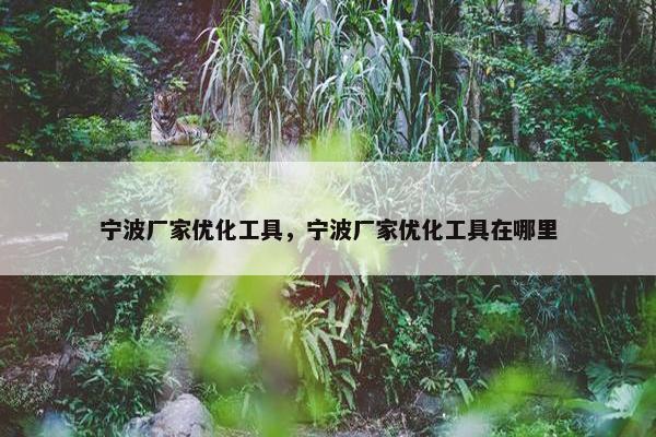 宁波厂家优化工具，宁波厂家优化工具在哪里