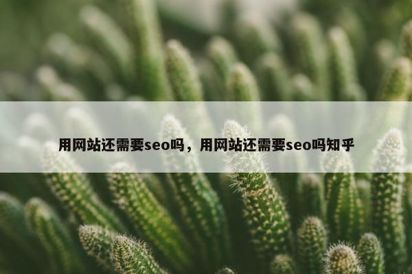 用网站还需要seo吗，用网站还需要seo吗知乎