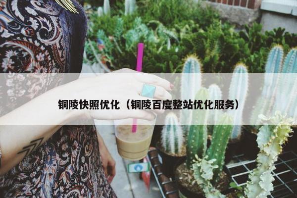 铜陵快照优化（铜陵百度整站优化服务）