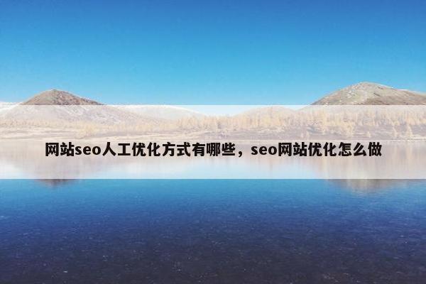 网站seo人工优化方式有哪些，seo网站优化怎么做
