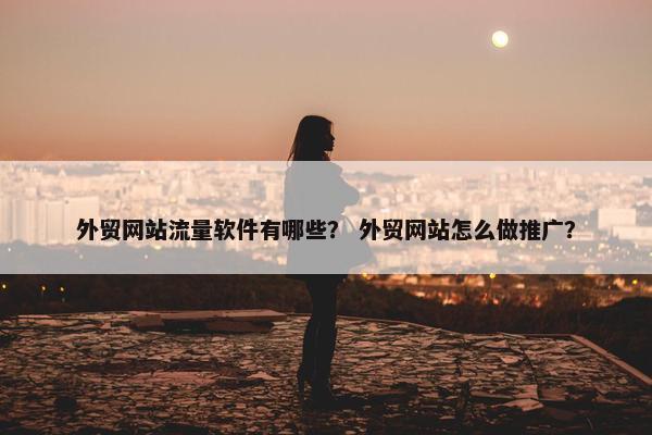 外贸网站流量软件有哪些？ 外贸网站怎么做推广？