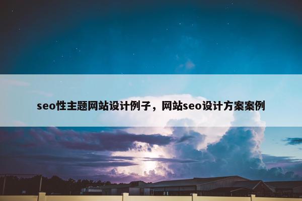 seo性主题网站设计例子，网站seo设计方案案例