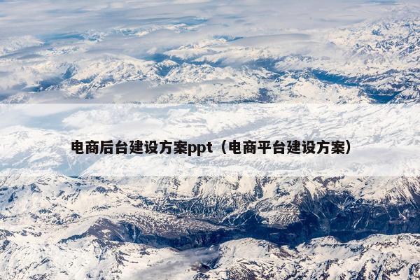电商后台建设方案ppt（电商平台建设方案）