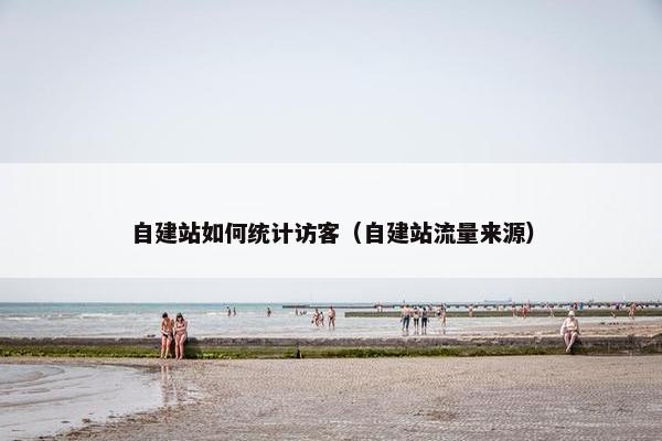 自建站如何统计访客（自建站流量来源）