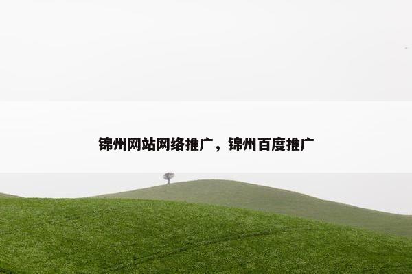 锦州网站网络推广，锦州百度推广