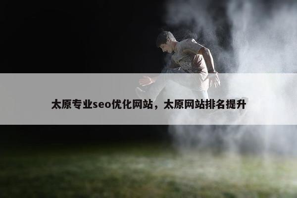太原专业seo优化网站，太原网站排名提升