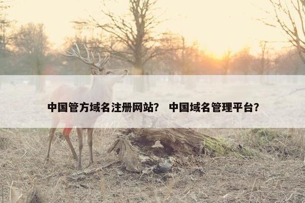 中国管方域名注册网站？ 中国域名管理平台？
