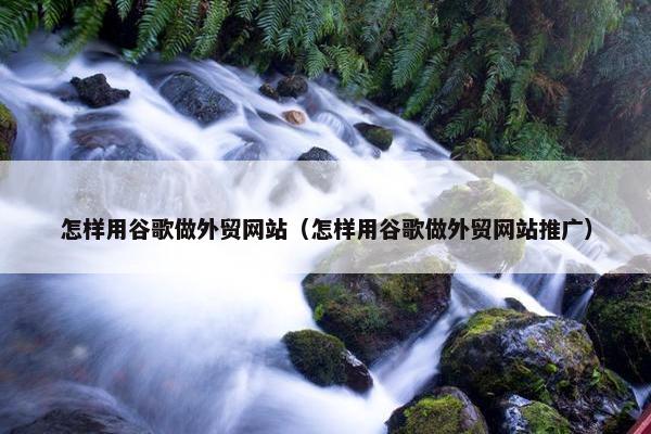 怎样用谷歌做外贸网站（怎样用谷歌做外贸网站推广）